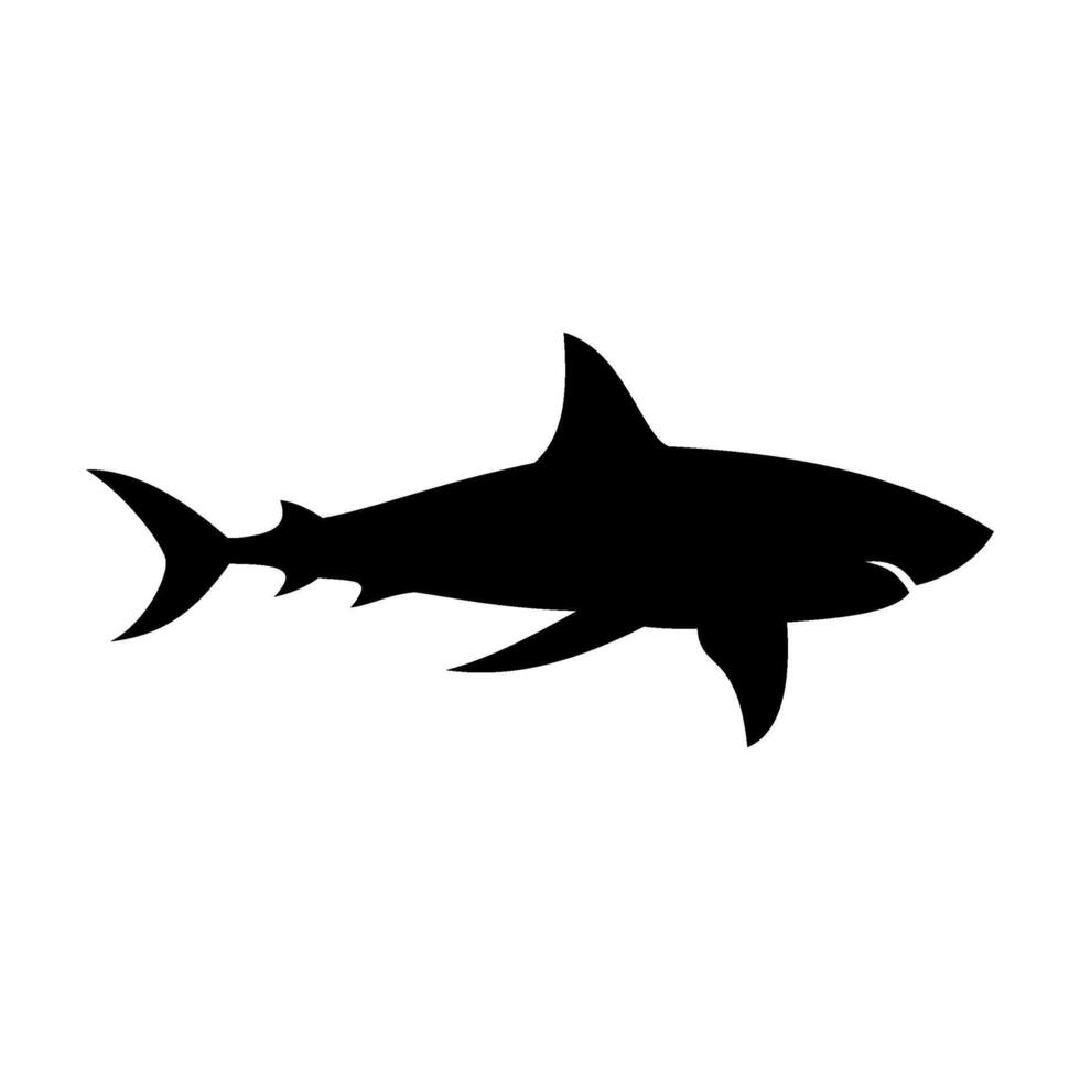 Shark silhouette flat illustration on isolated background vector