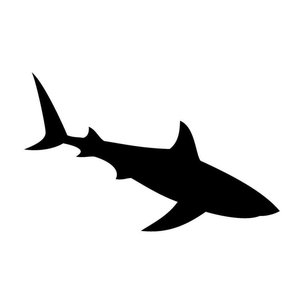 Shark silhouette flat illustration on isolated background vector