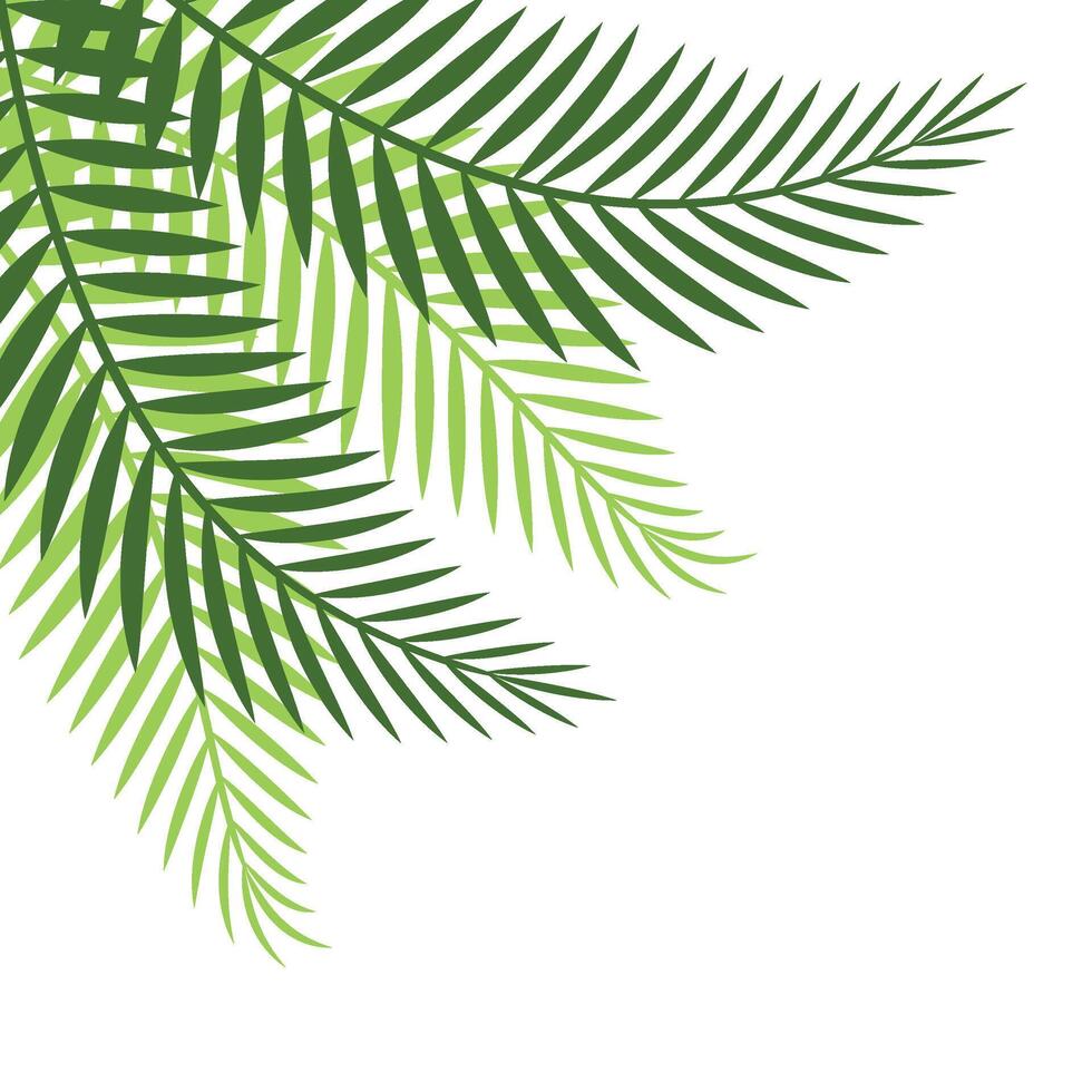 Palm Leaf Corner vector