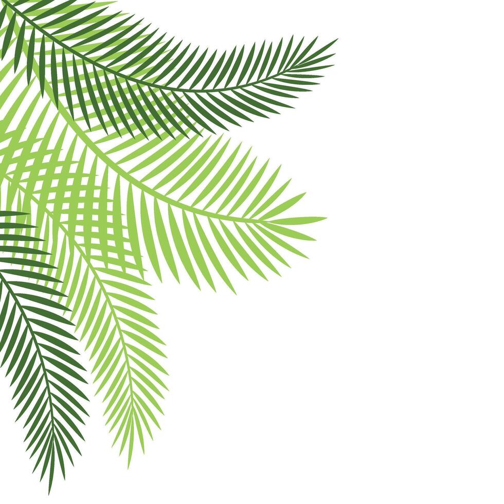 Palm Leaf Corner vector