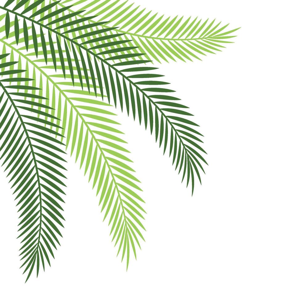 Palm Leaf Corner vector