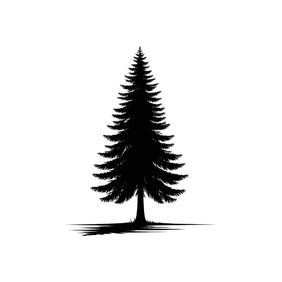 silueta de pino árbol vector