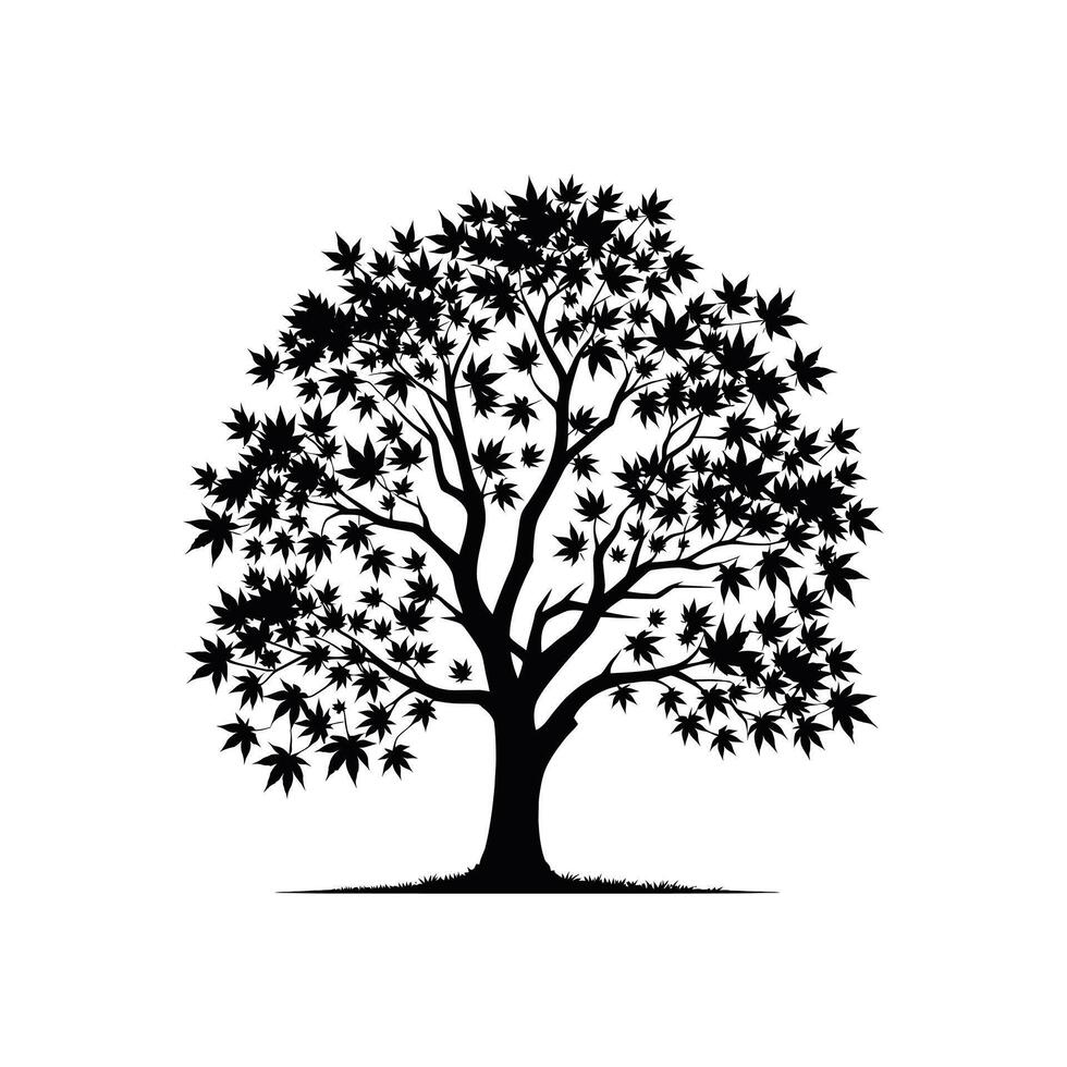 silhouette of a maple tree symbol of autumn fall vector