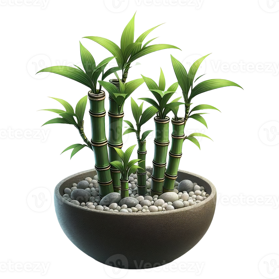 Bamboo tree plant isolated on transparent backgorund png