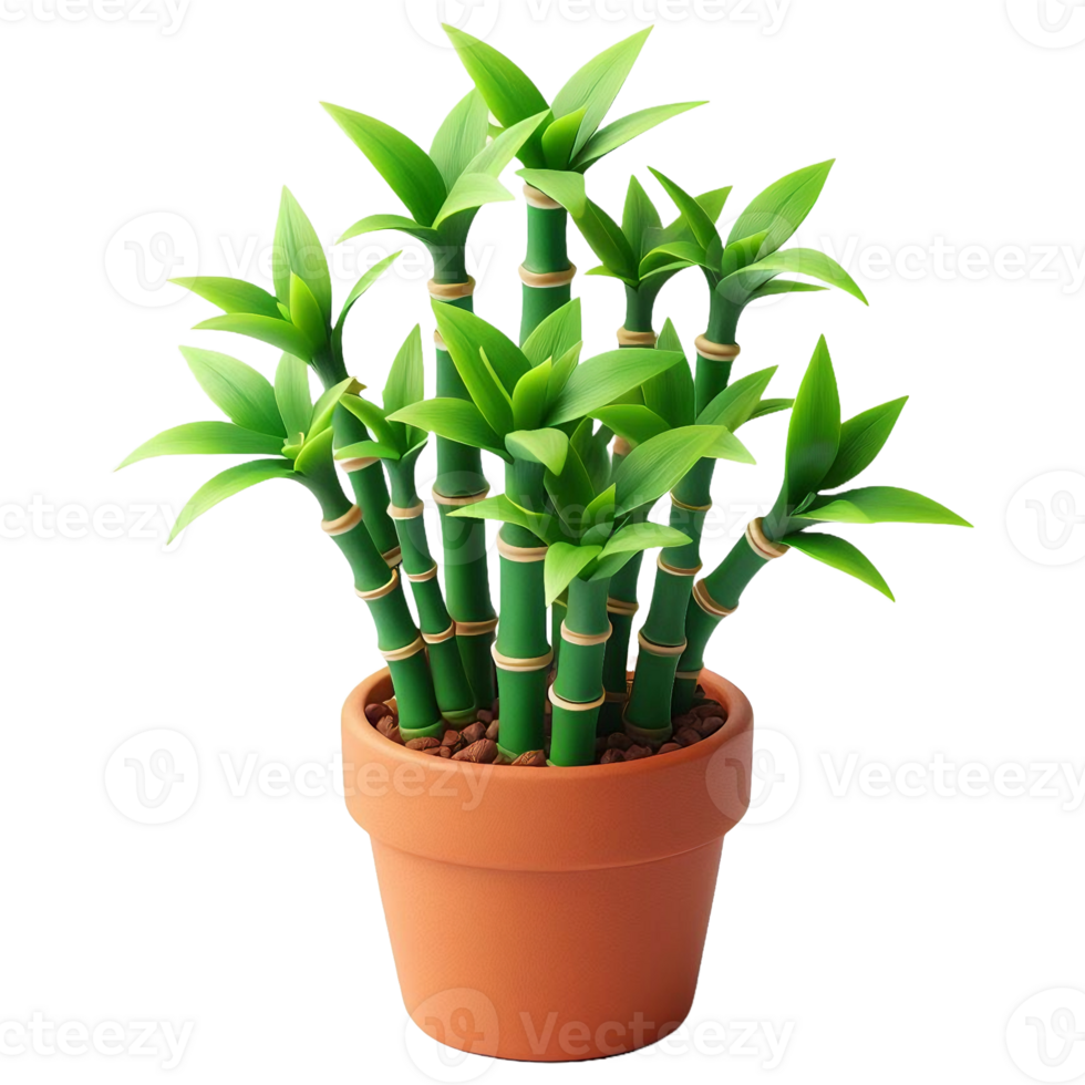 Bamboo tree plant isolated on transparent backgorund png
