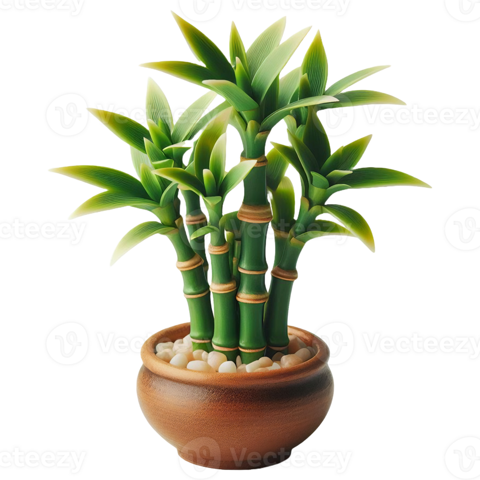 Bamboo tree plant isolated on transparent backgorund png