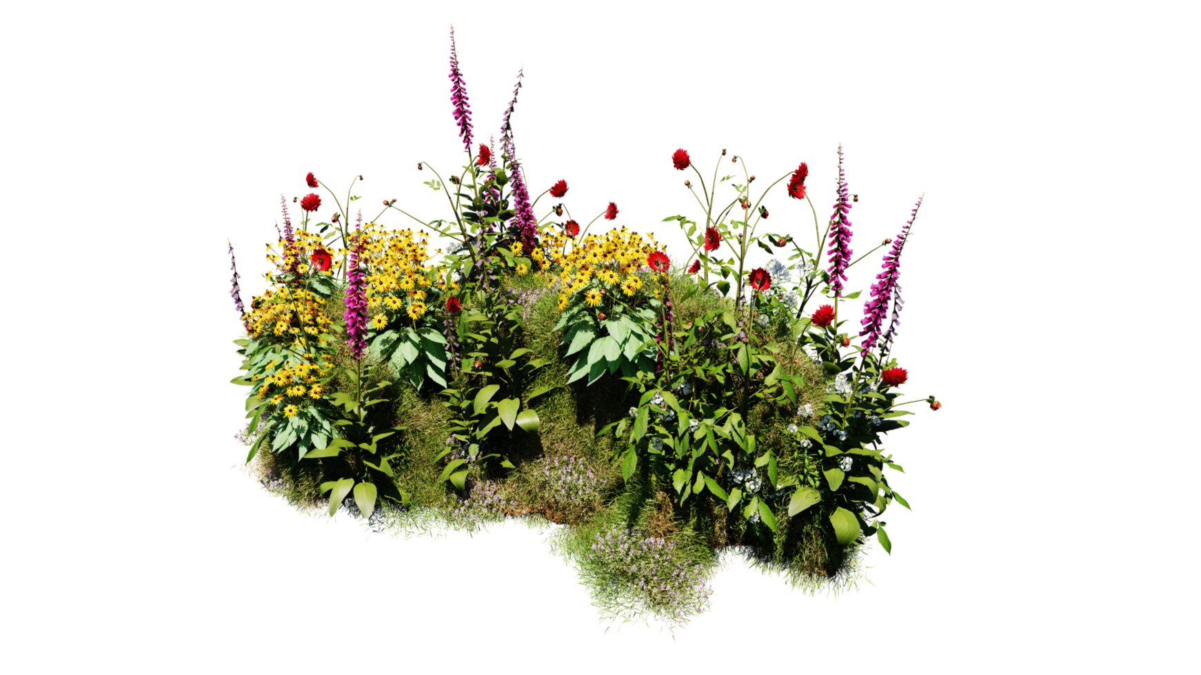 3D render various types of flowers grass bushes shrub and small plants on transparent background png