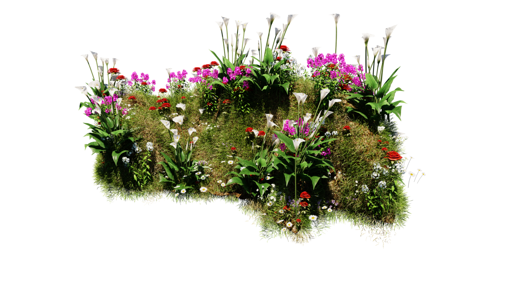 3D render various types of flowers grass bushes shrub and small plants on transparent background png