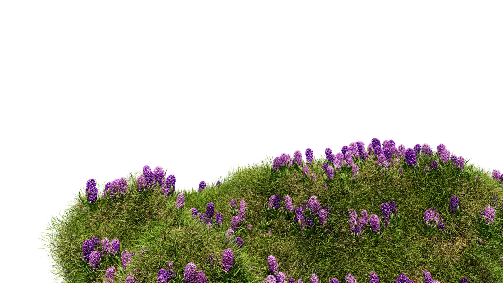 3D render various types of flowers grass bushes shrub and small plants on transparent background png