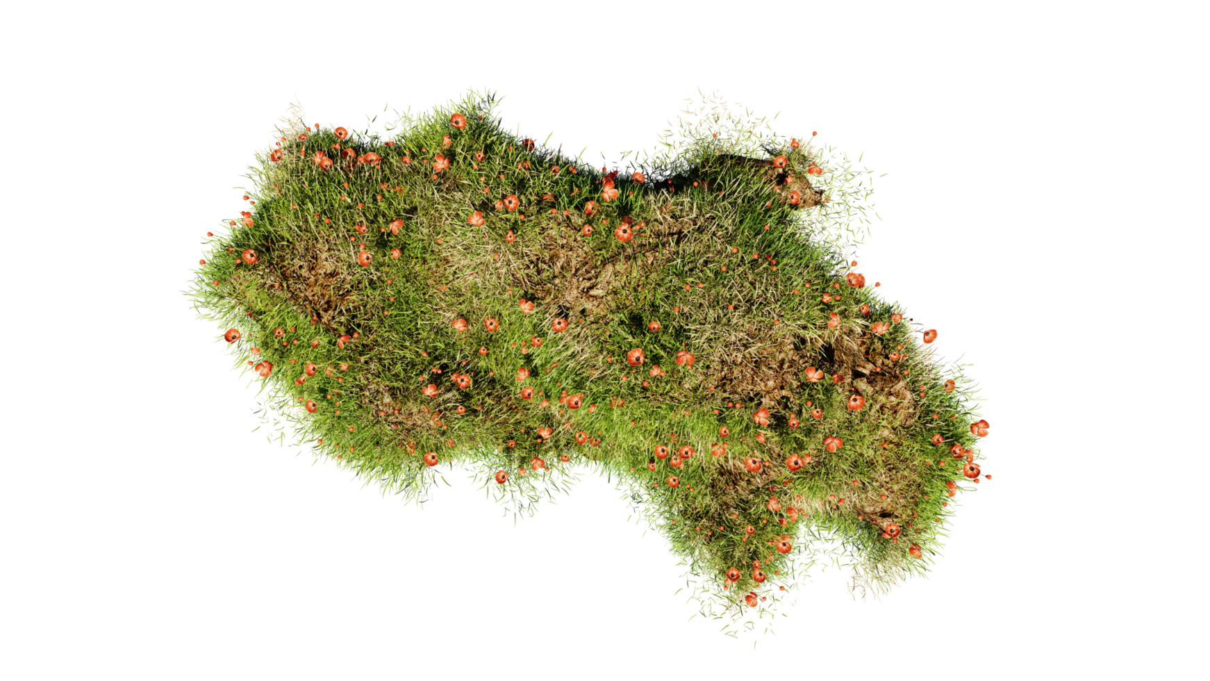 topp se av 3d framställa olika typer av blommor gräs buskar buske och små växter på transparent bakgrund png