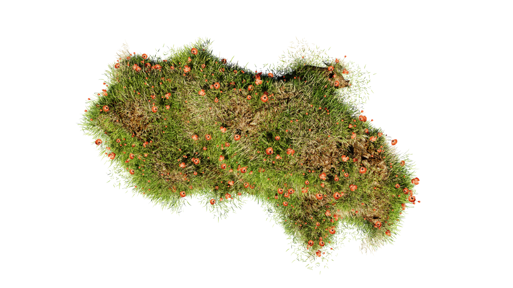 Top view of 3D render various types of flowers grass bushes shrub and small plants on transparent background png