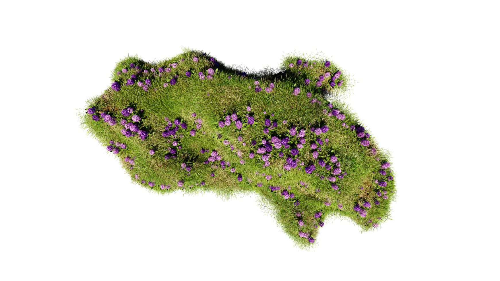 Top view of 3D render various types of flowers grass bushes shrub and small plants on transparent background png