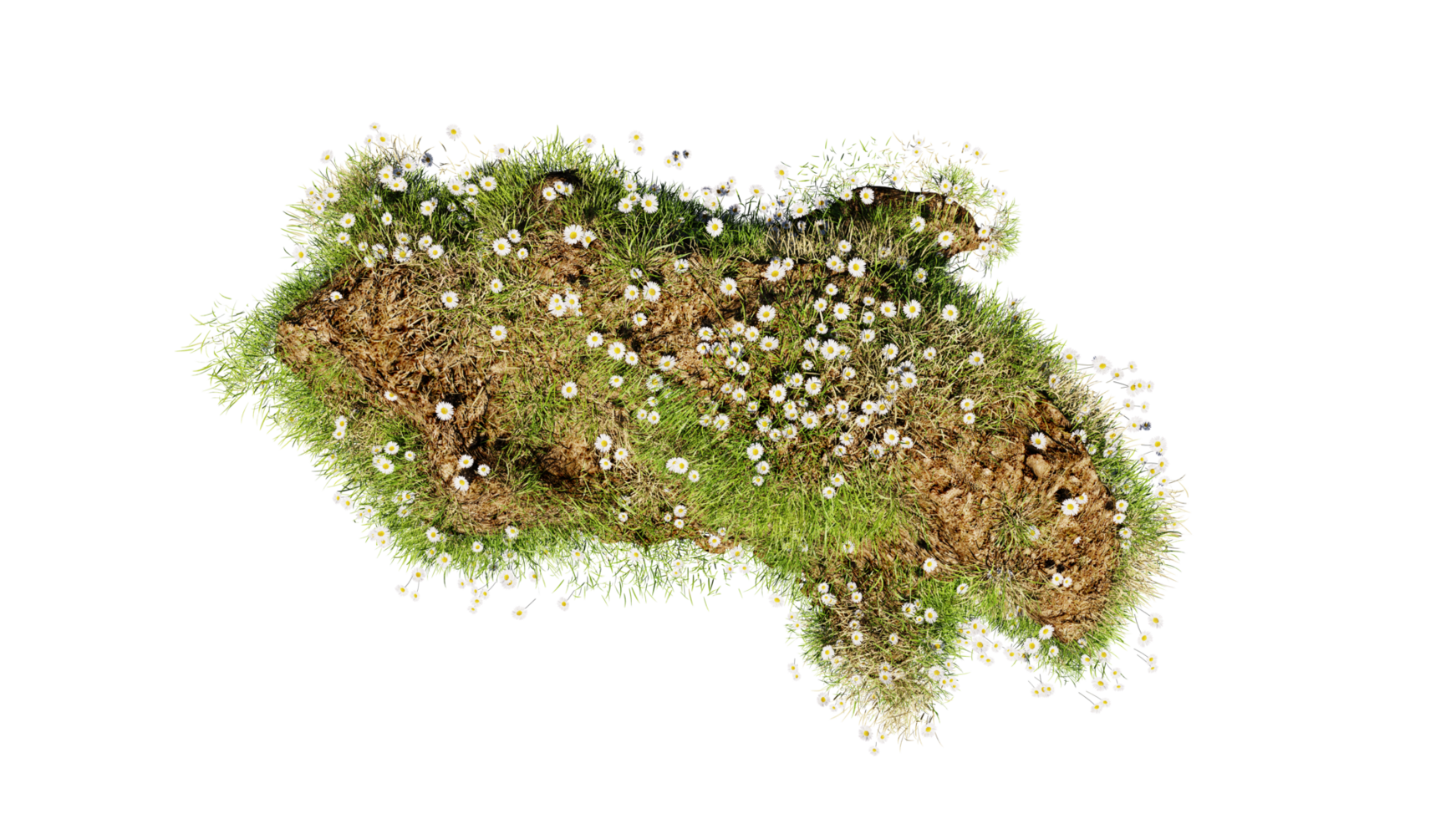 Top view of 3D render various types of flowers grass bushes shrub and small plants on transparent background png