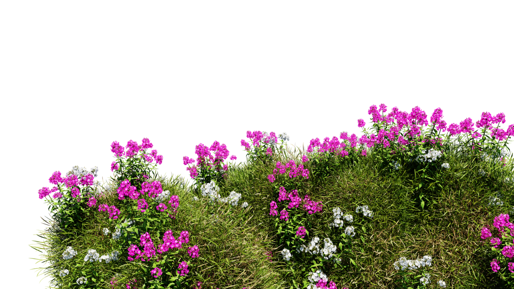 3D render various types of flowers grass bushes shrub and small plants on transparent background png