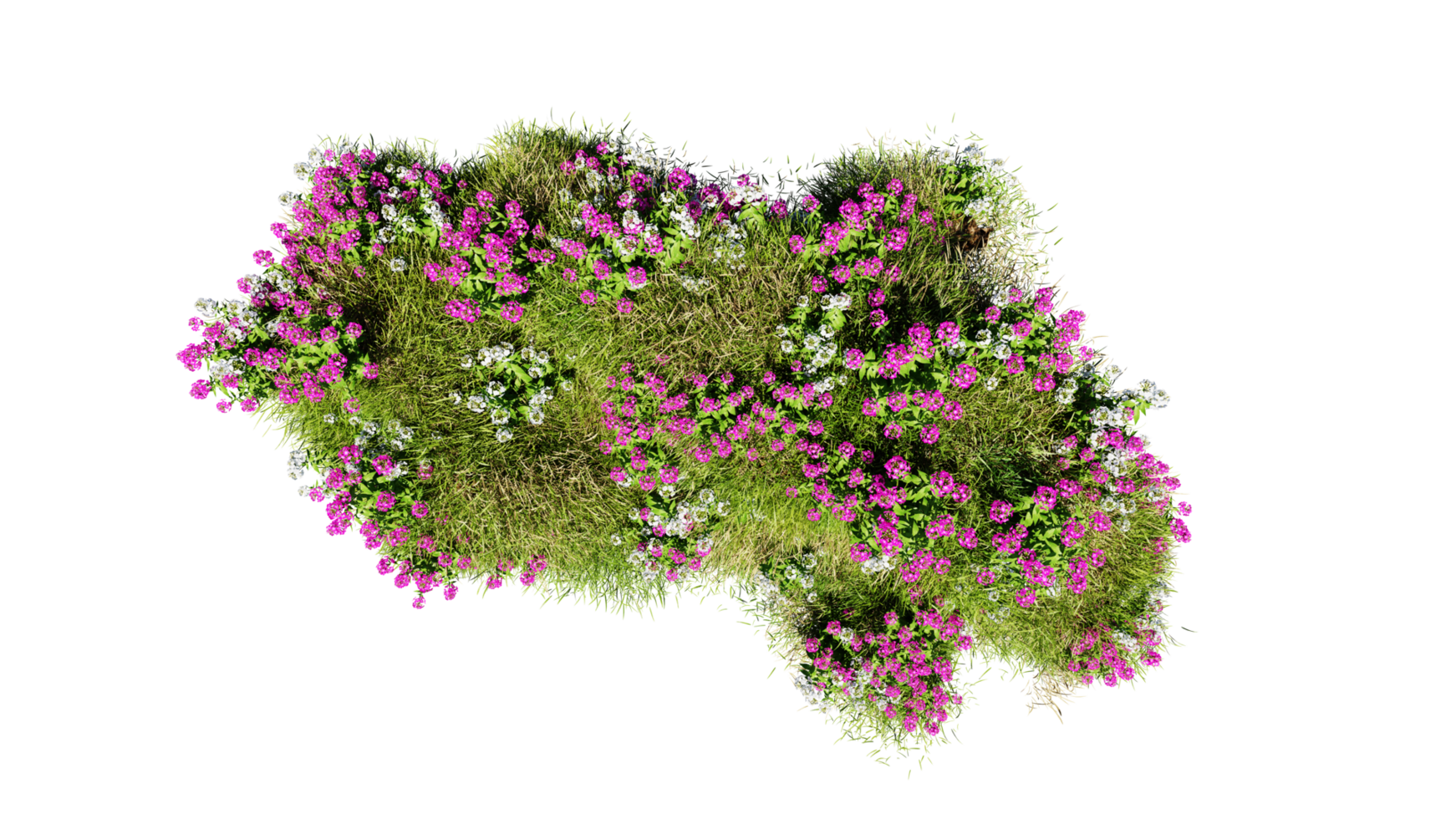 Top view of 3D render various types of flowers grass bushes shrub and small plants on transparent background png