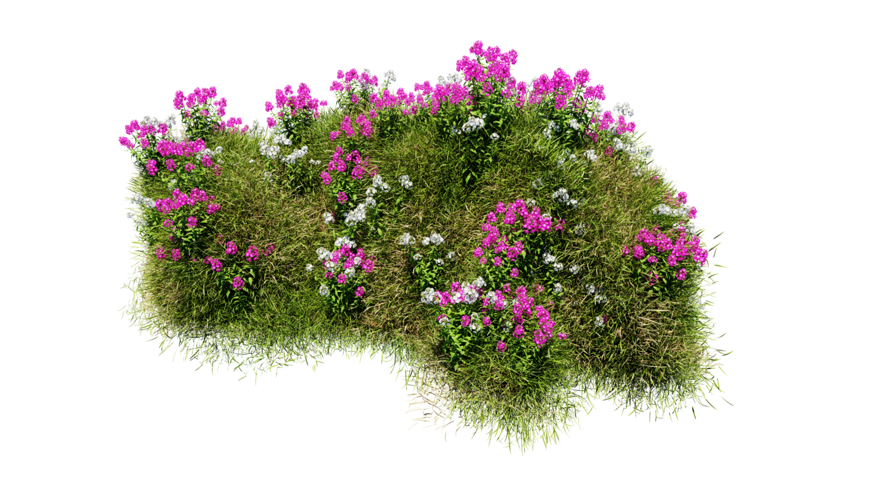 3D render various types of flowers grass bushes shrub and small plants on transparent background png