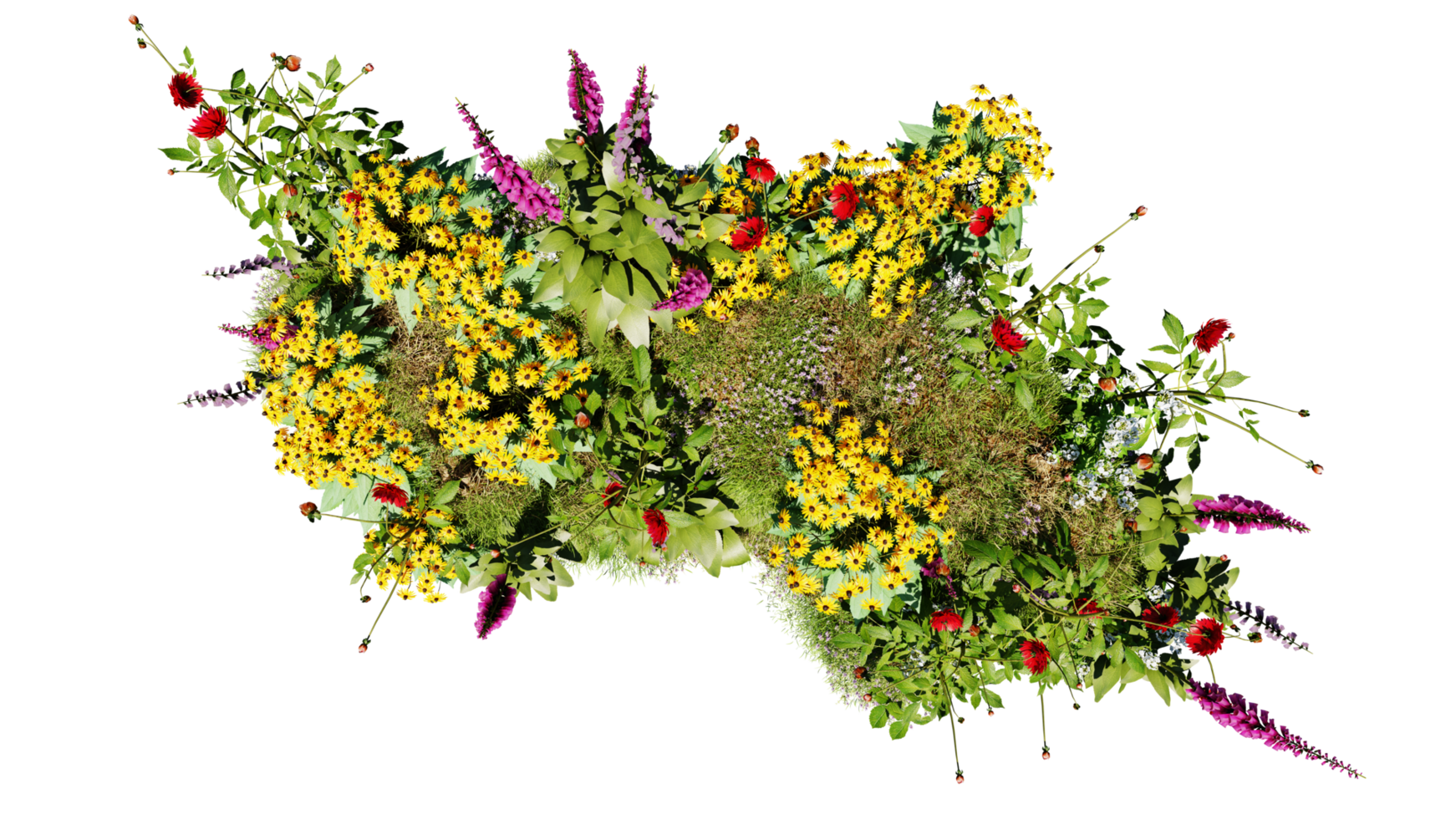 Top view of 3D render various types of flowers grass bushes shrub and small plants on transparent background png