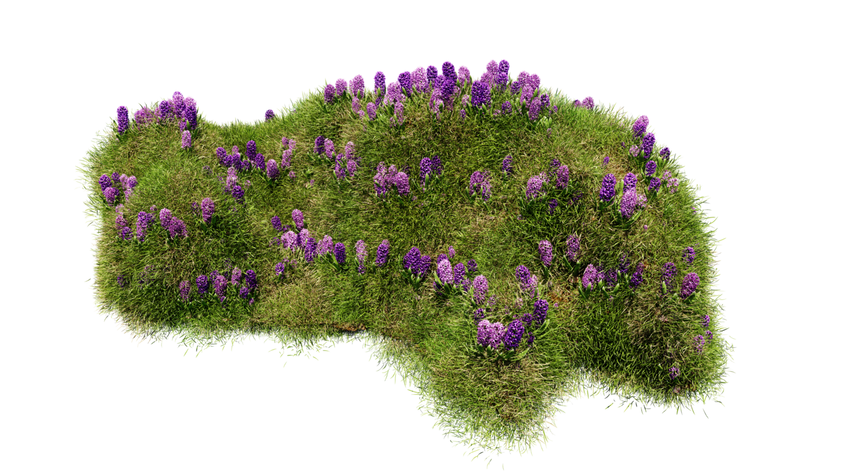 3D render various types of flowers grass bushes shrub and small plants on transparent background png