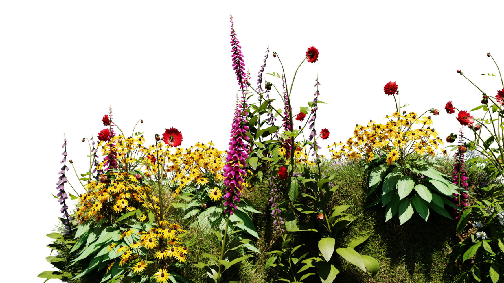 3D render various types of flowers grass bushes shrub and small plants on transparent background png