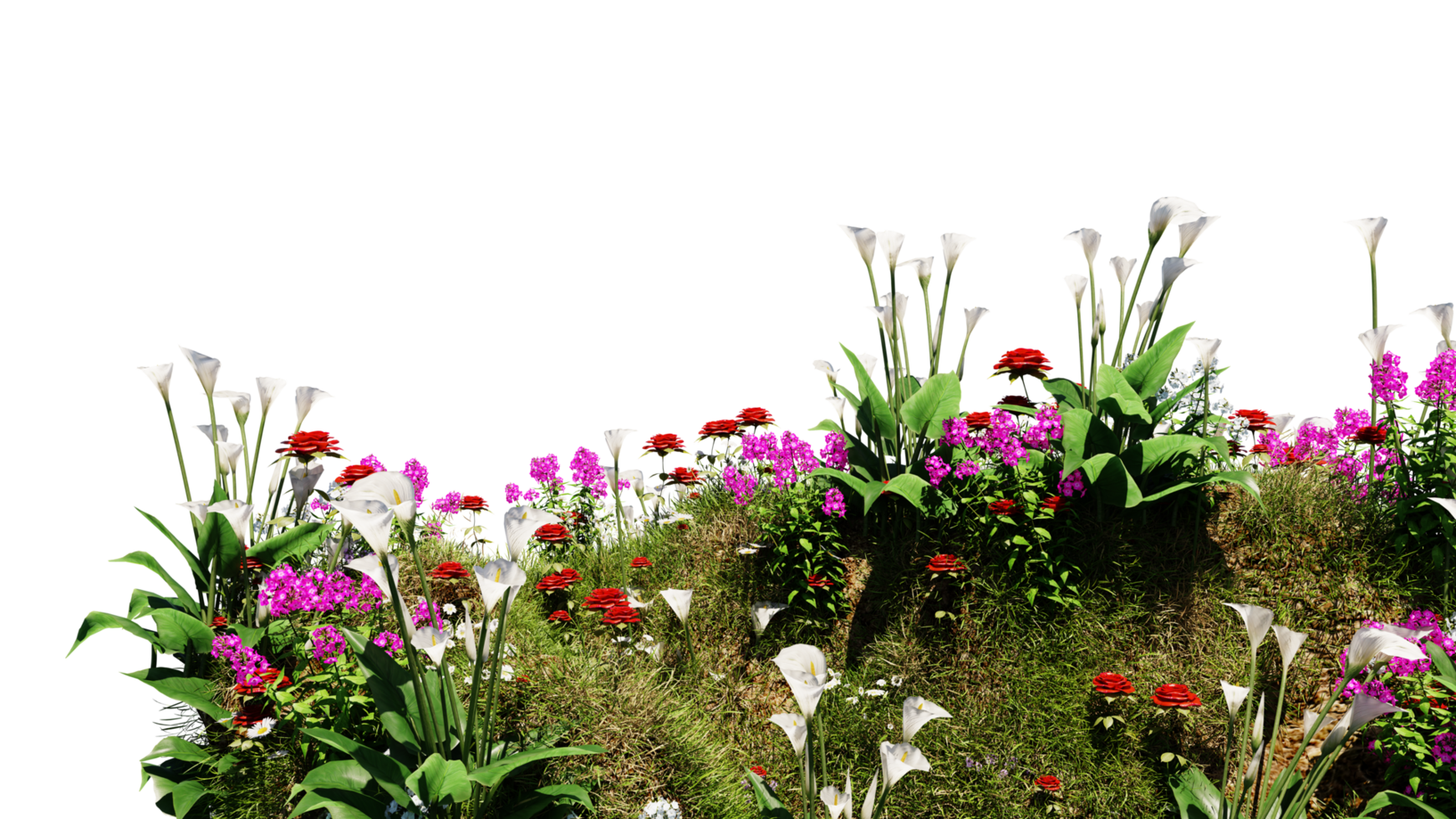 3D render various types of flowers grass bushes shrub and small plants on transparent background png