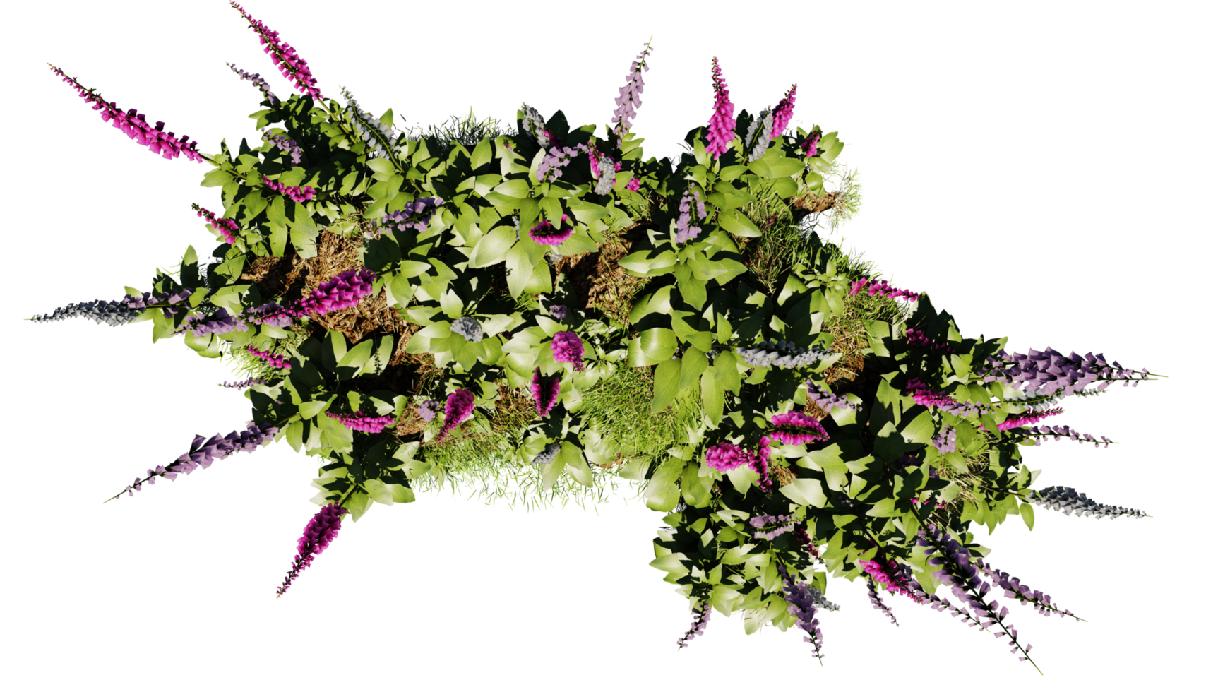 Top view of 3D render various types of flowers grass bushes shrub and small plants on transparent background png