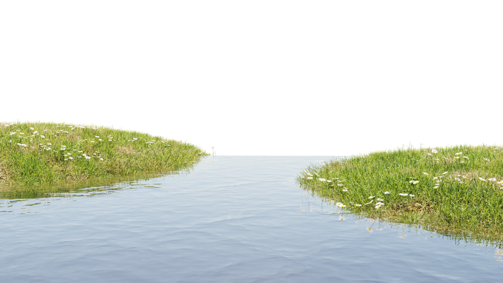 3D render of Stream and grass flower plants on transparent background png