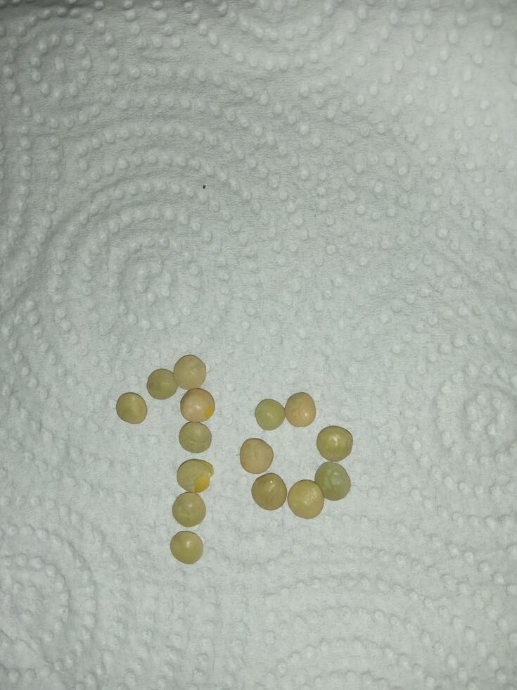 numbers are made out off beans photo