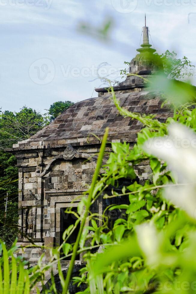 ancient temple in archaeological site in indonesia nature photo