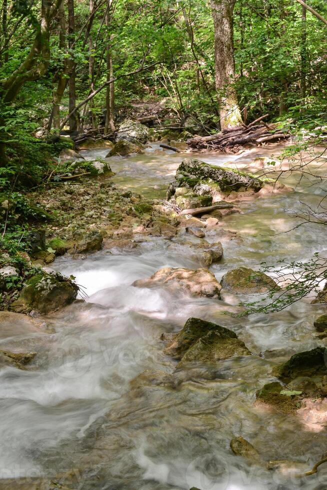 Mountain stream in the forest - long exposure and flowing water photo