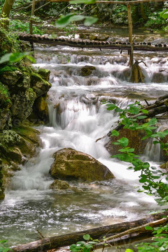 Mountain stream in the forest - long exposure and flowing water photo