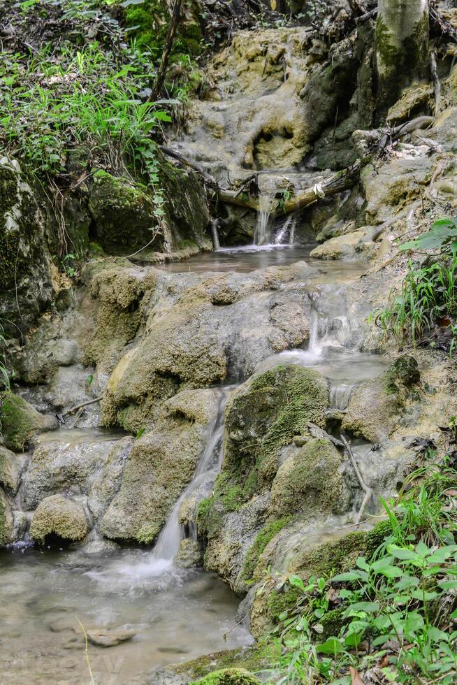 Mountain stream in the forest - long exposure and flowing water photo