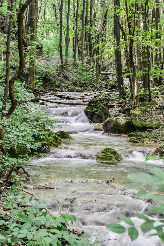 Mountain stream in the forest - long exposure and flowing water photo