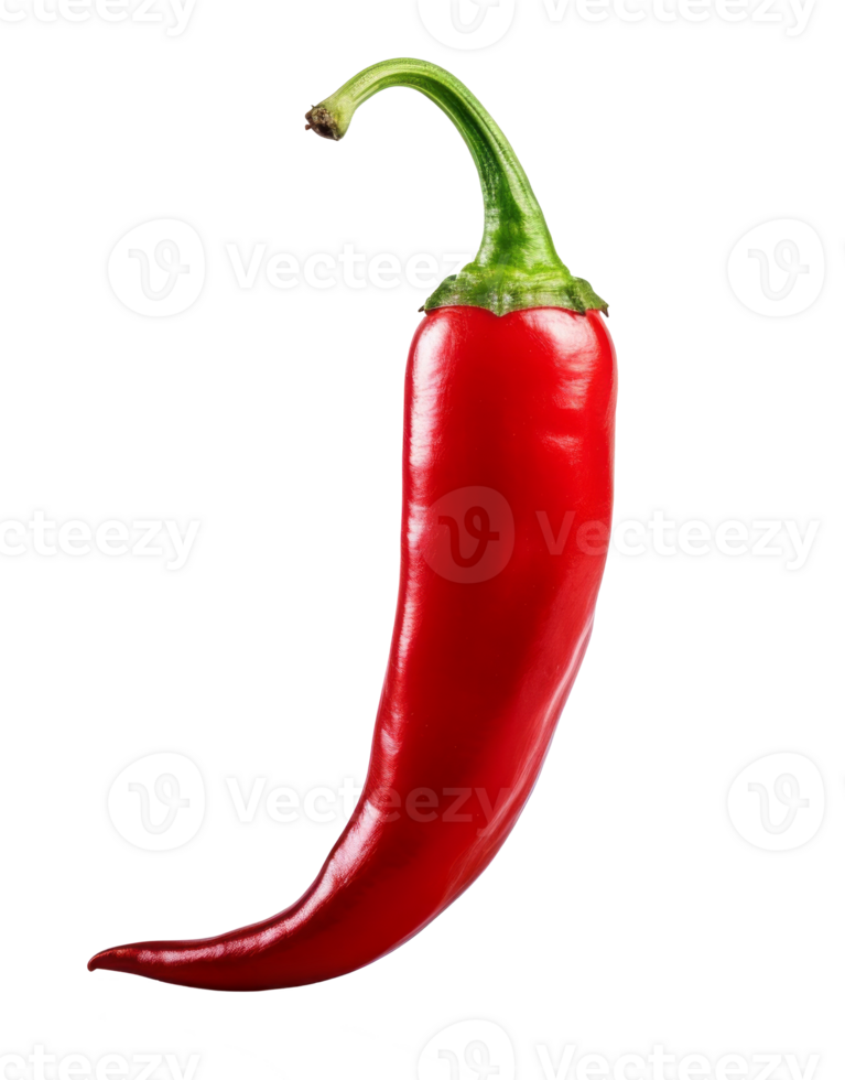 chili pepper isolated on transparent background png