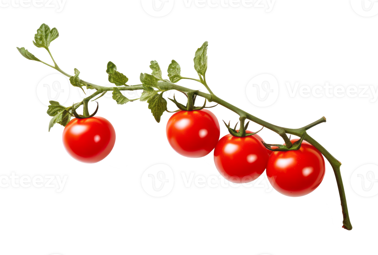 cherry tomato isolated on transparent background png