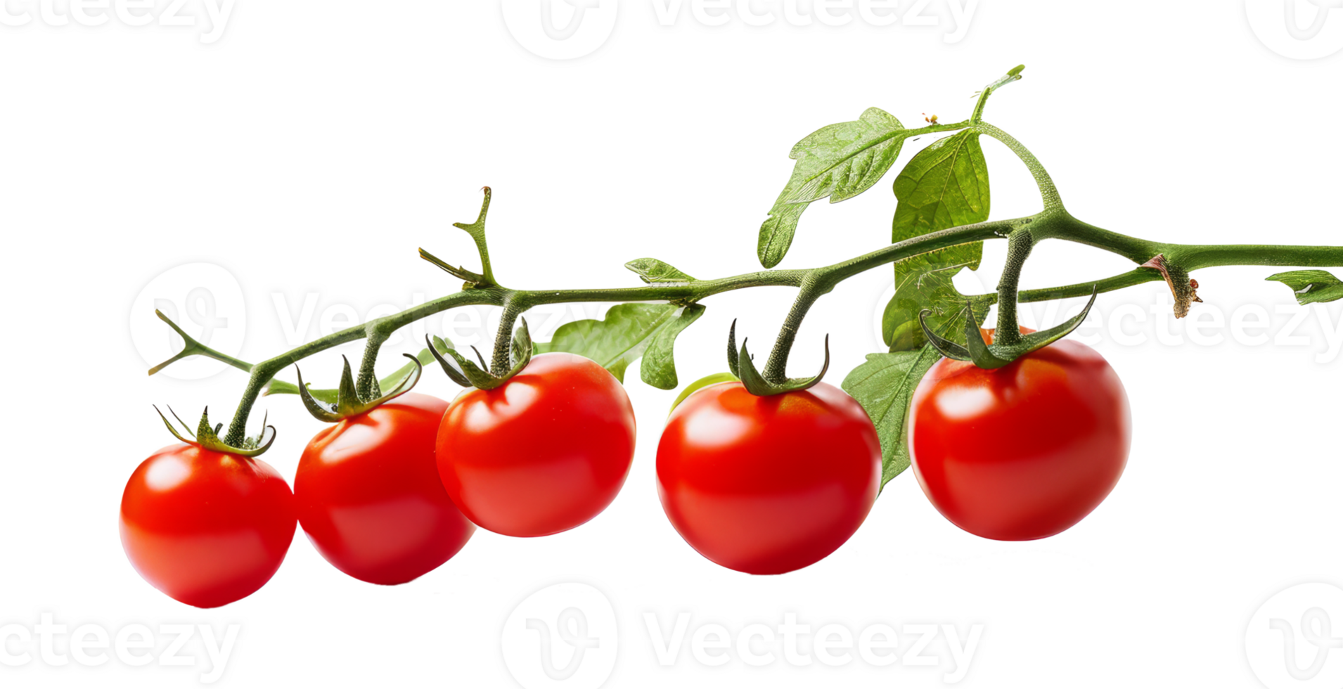 cherry tomato isolated on transparent background png