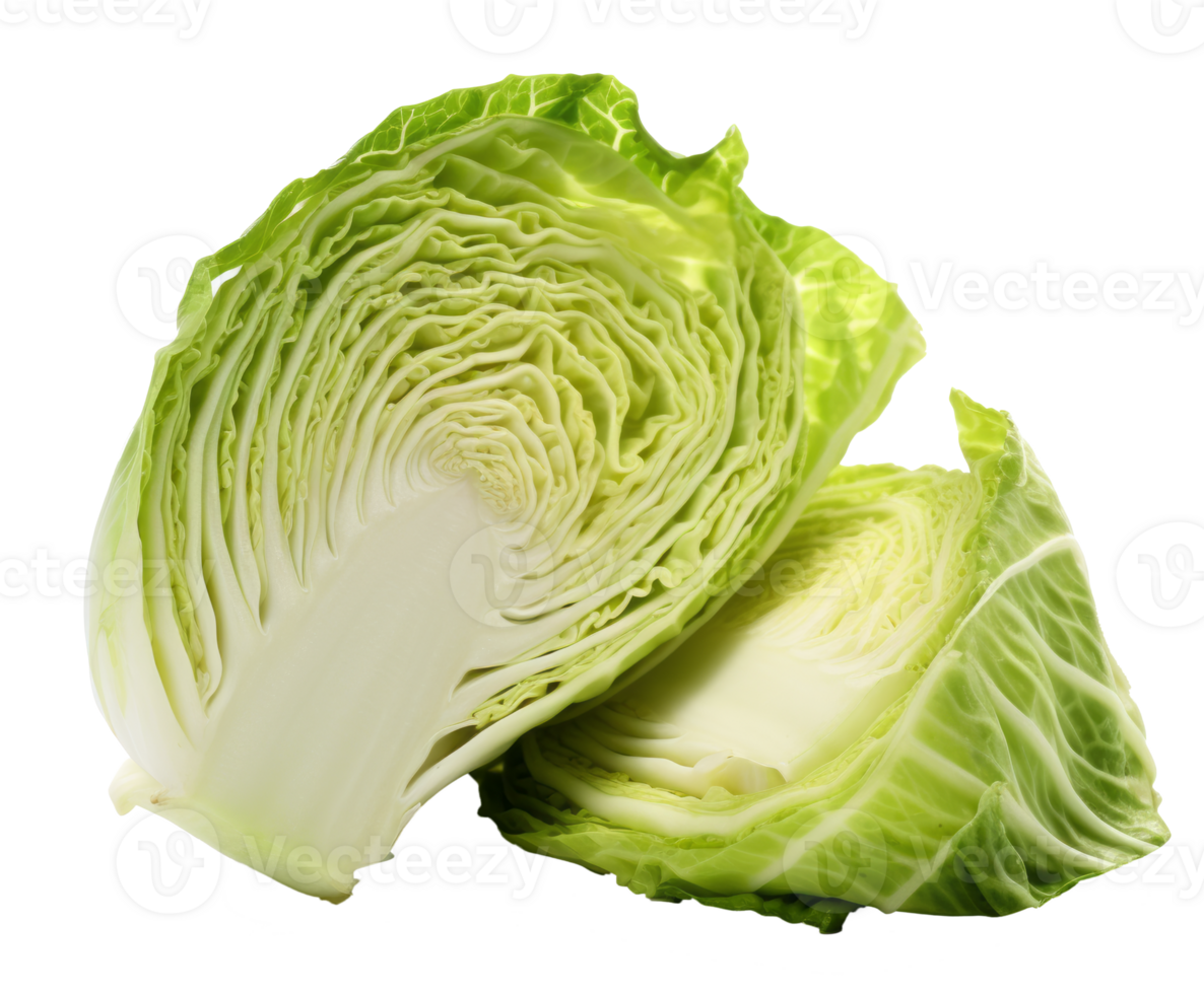 cabbage isolated on transparent background png