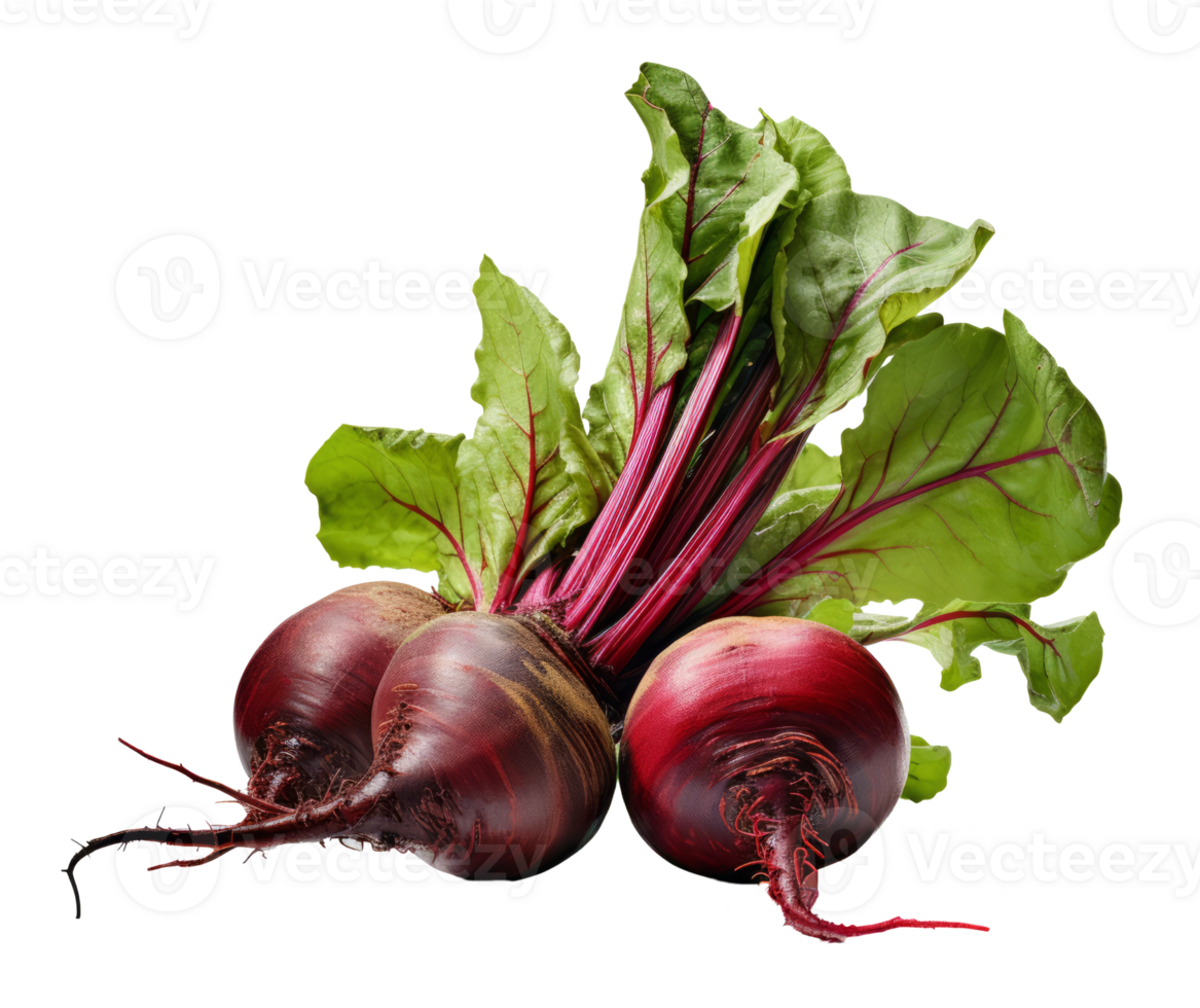 beetroot isolated on transparent background png
