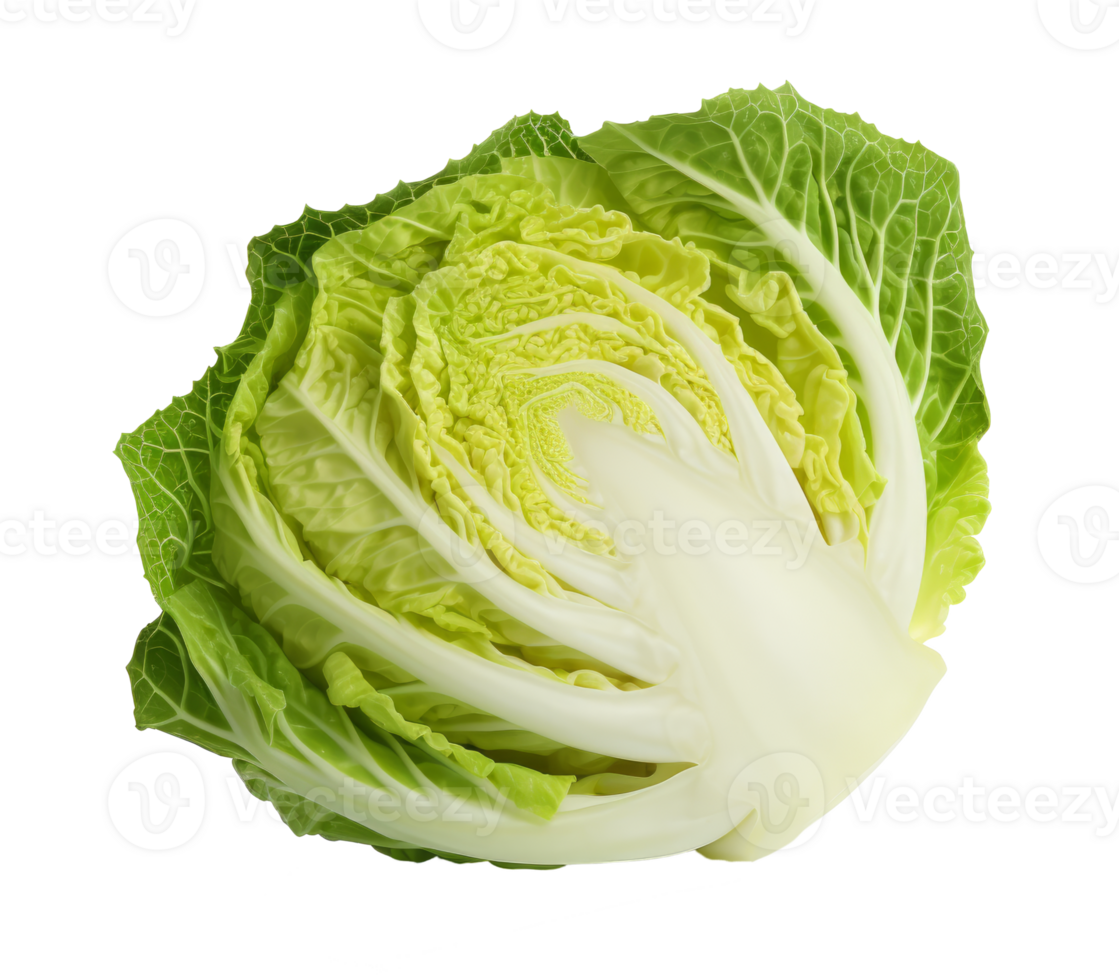 cabbage isolated on transparent background png