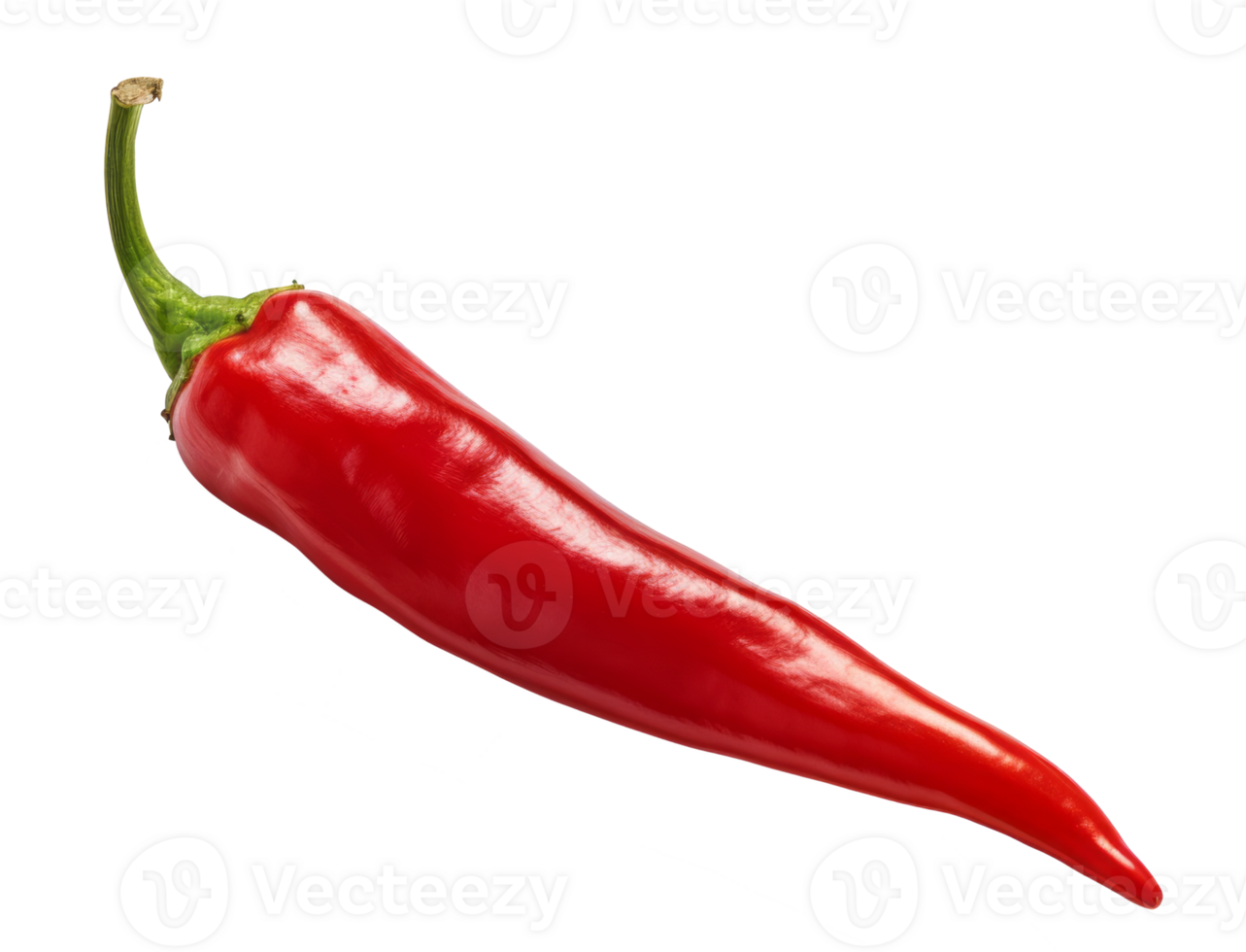 chili pepper isolated on transparent background png