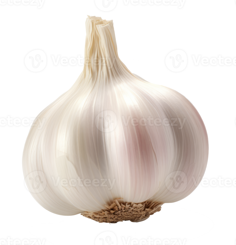 garlic isolated on transparent background png