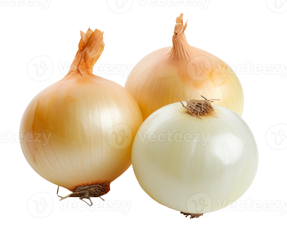 onions isolated on transparent background png