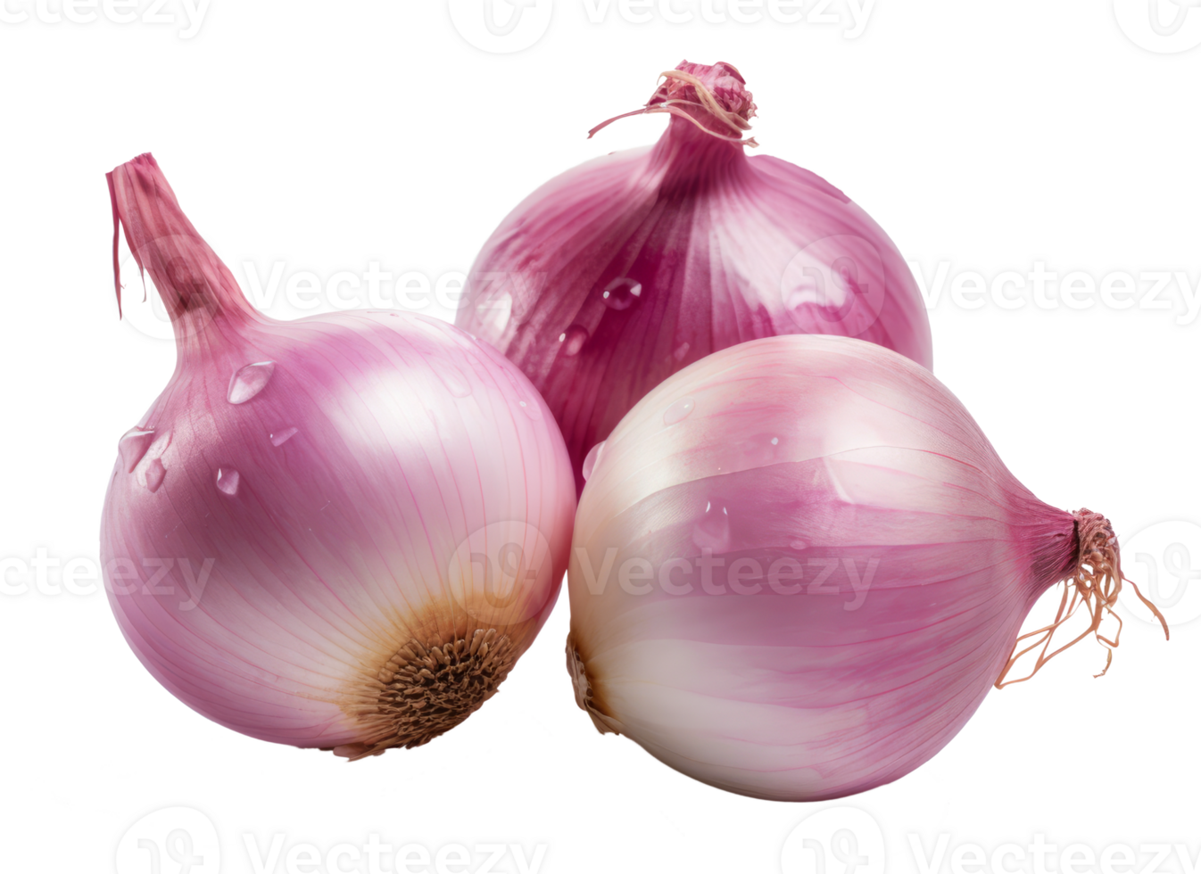 red onions isolated on transparent background png