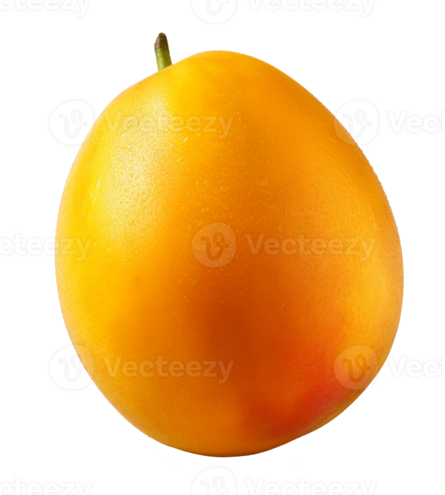 mango isolated on transparent background png