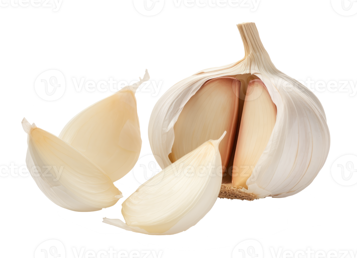 garlic isolated on transparent background png