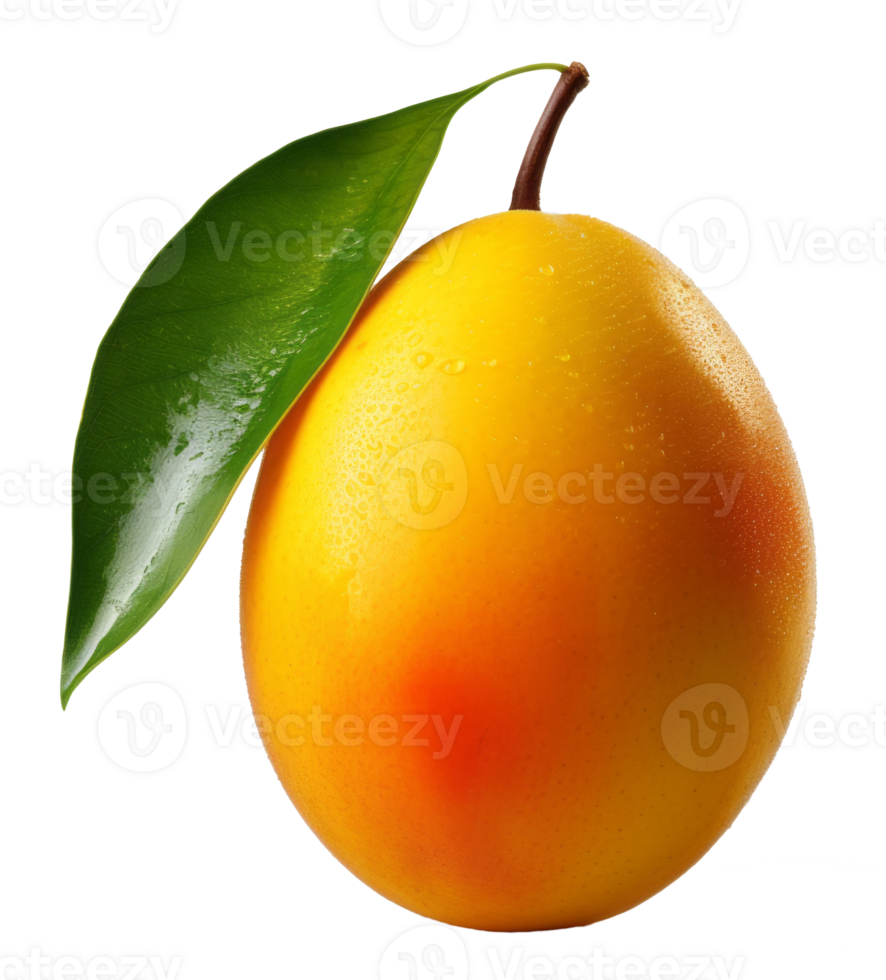 mango isolated on transparent background png