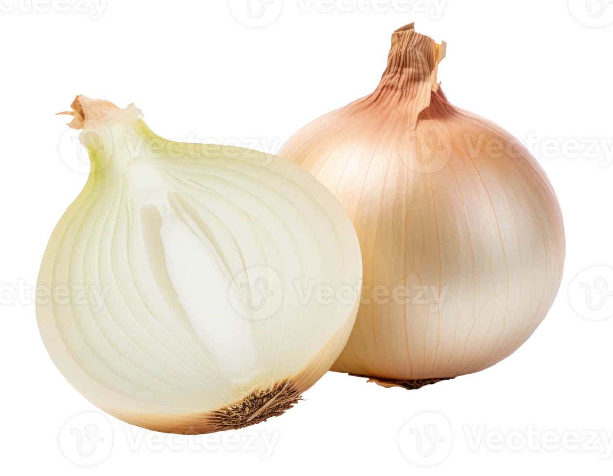 onions isolated on transparent background png
