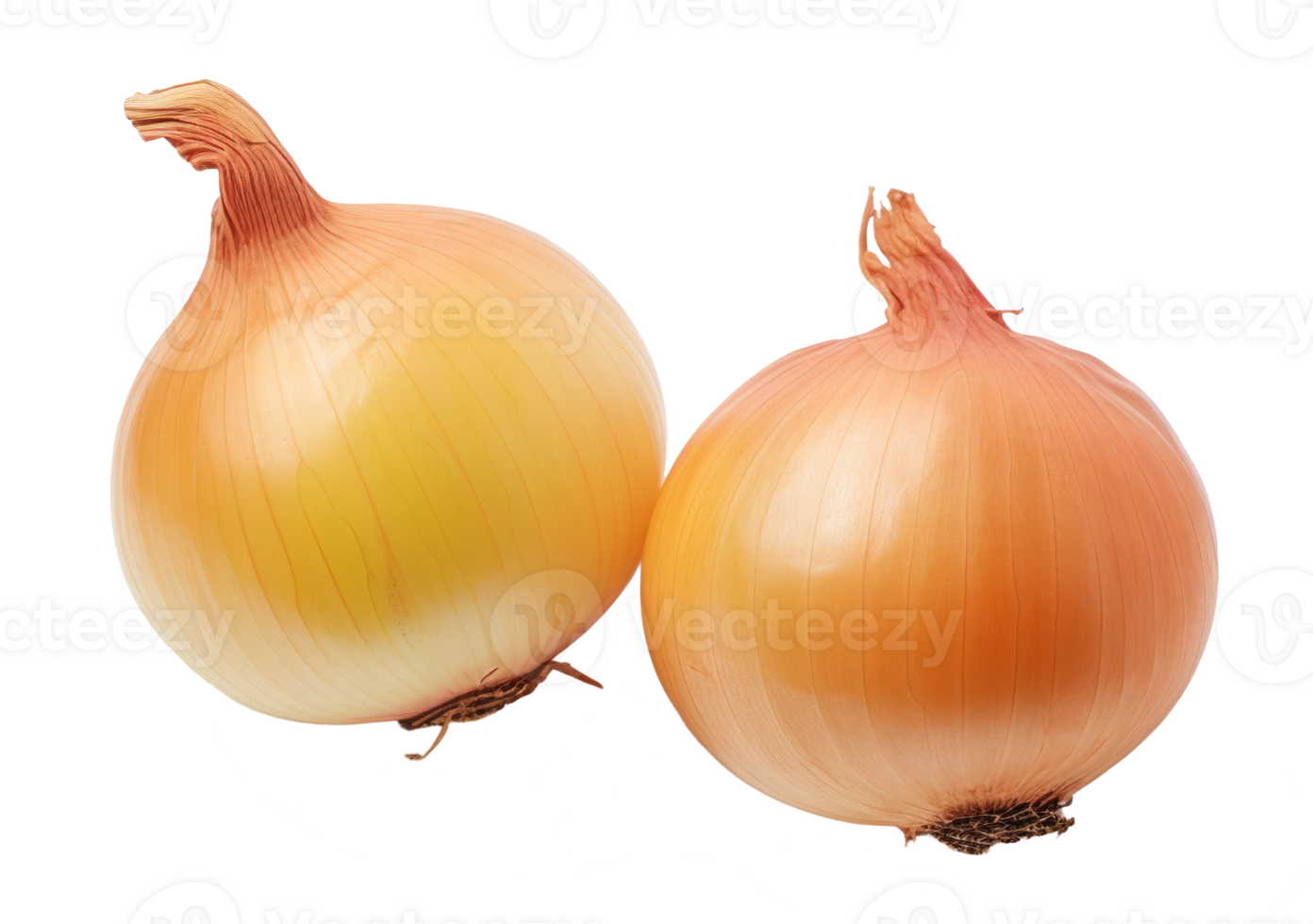 onions isolated on transparent background png