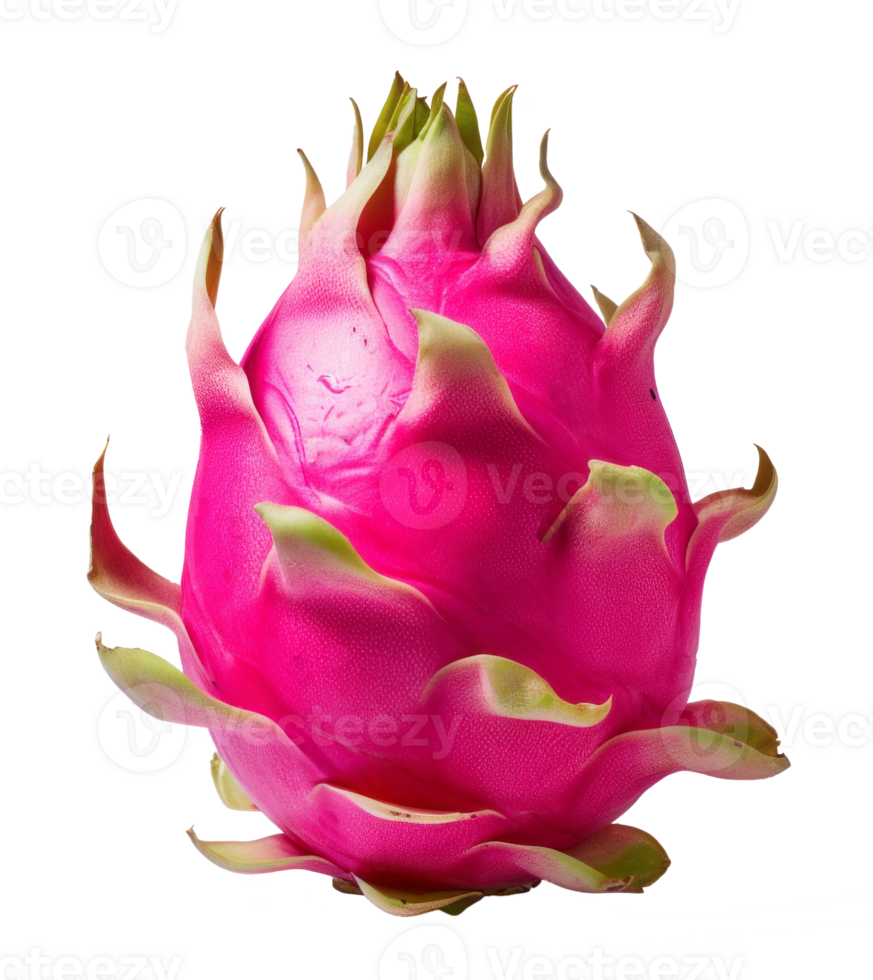 dragonfruit isolated on transparent background png