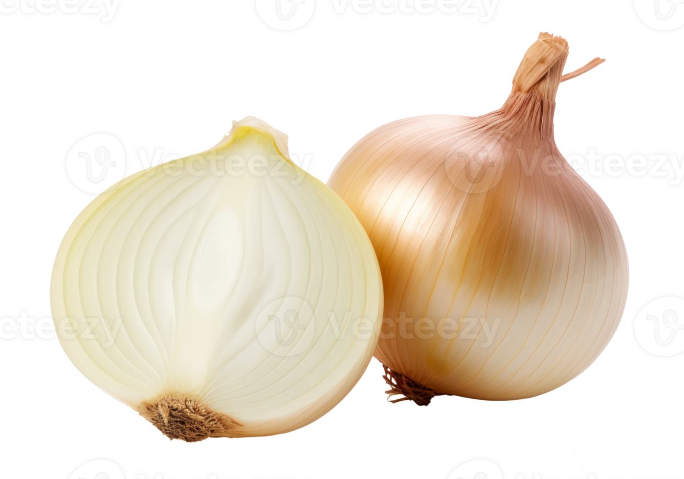 onions isolated on transparent background png