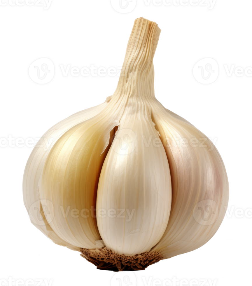 garlic isolated on transparent background png